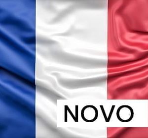 Francês – Básico I – Iniciante (NOVO)
