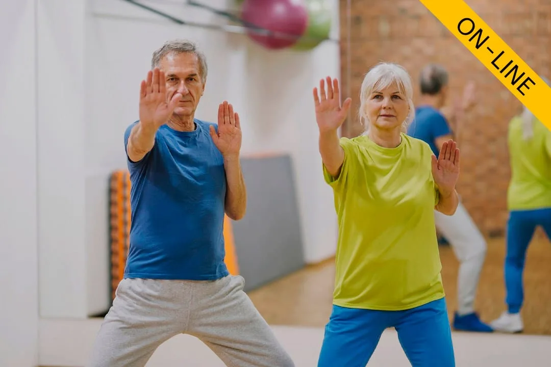 Tai chi chuan (on-line)